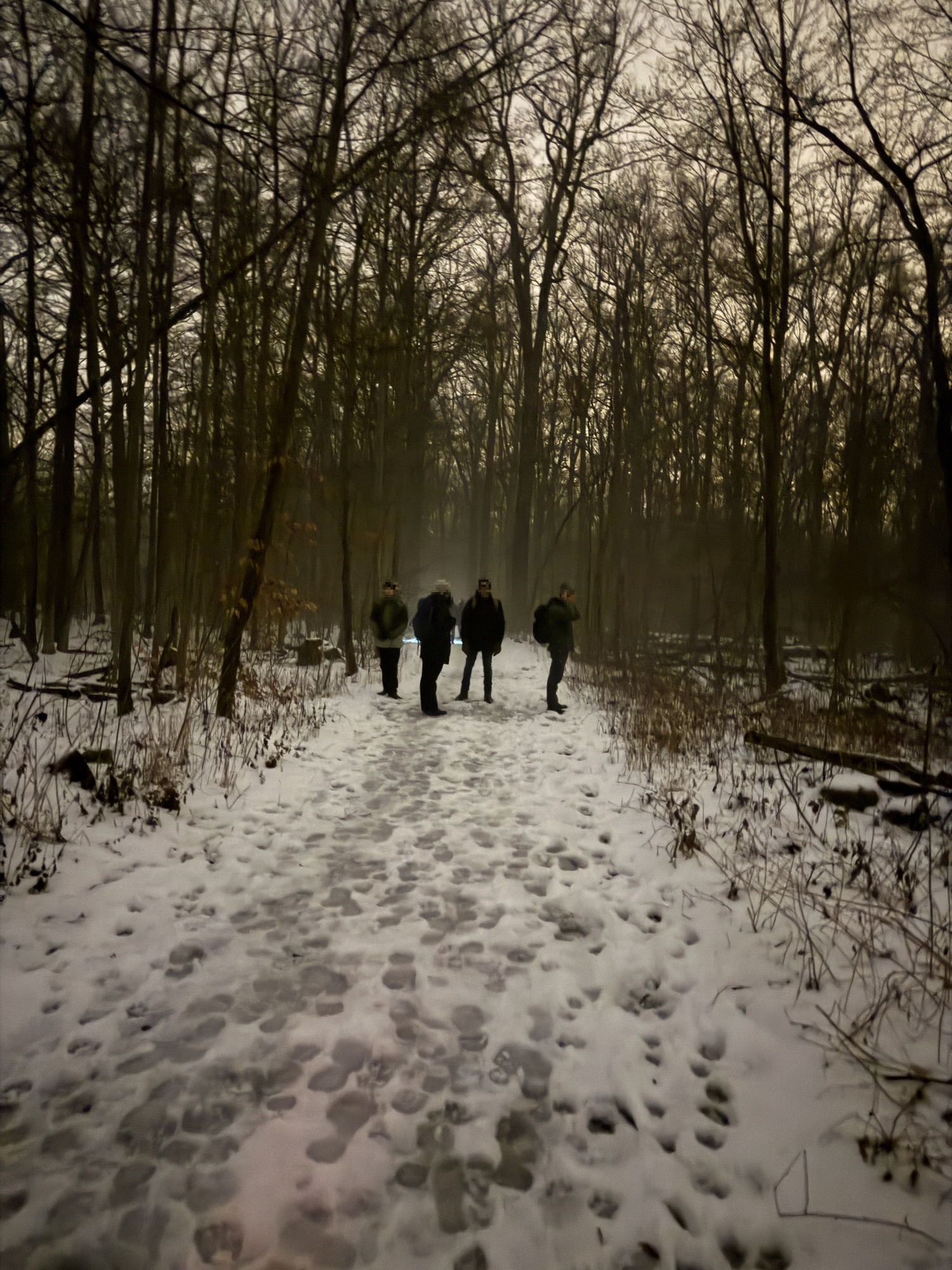 Wir lauschen konzentriert...